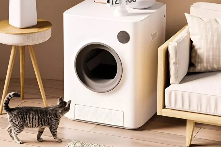 cat sandbox automatic collector cat litter 17