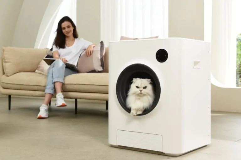 cat sandbox automatic collector cat litter 25 1