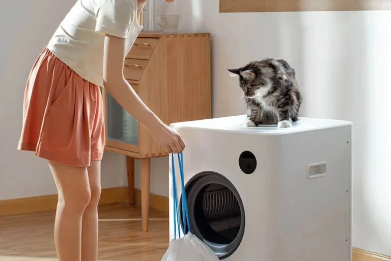 cat sandbox automatic collector cat litter 29 1