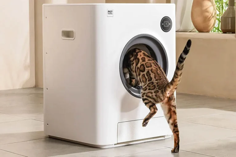cat sandbox automatic collector cat litter 8