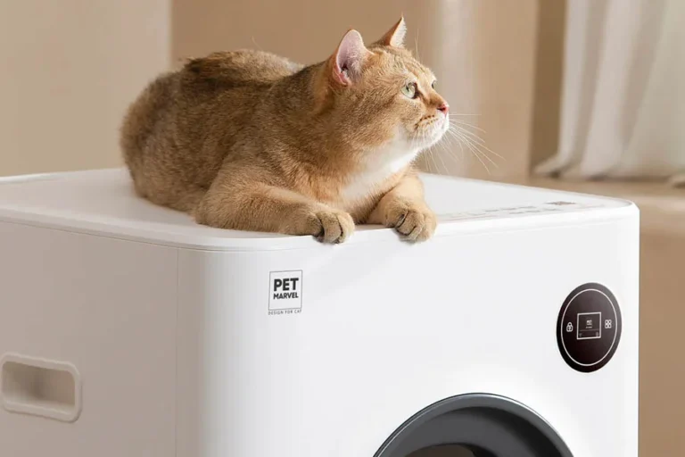 cat sandbox automatic collector cat litter 9 1