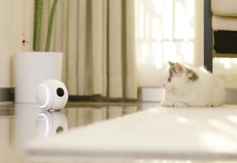 smart 4k movable pet camera 09