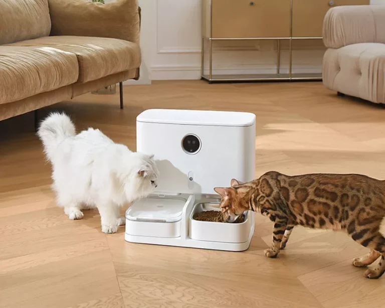 smart automatic pet feeder 10